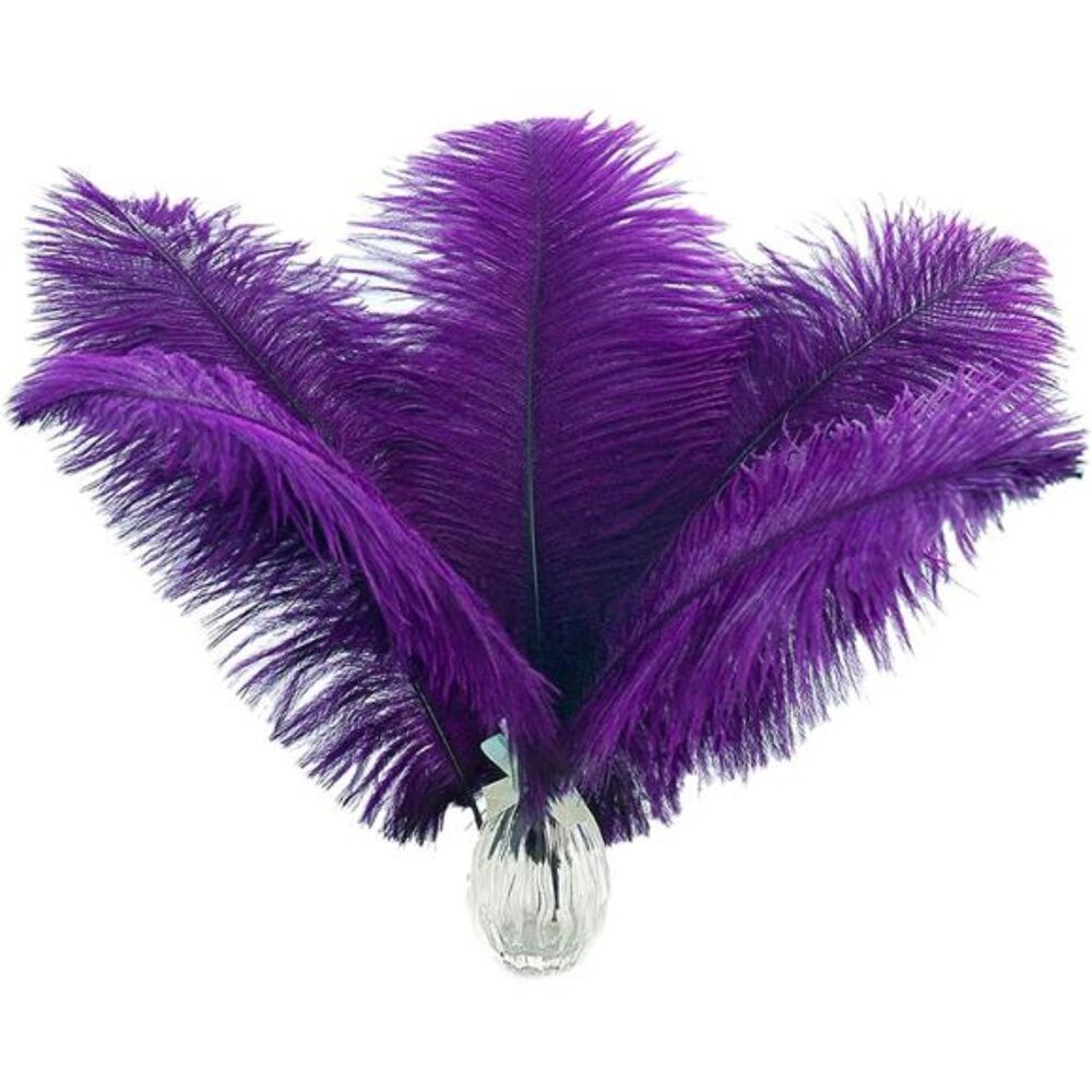 Purple Ostrich Feathers Bulk -24Pcs 10-12inch Feathers for Vase,Party Mardi Gras